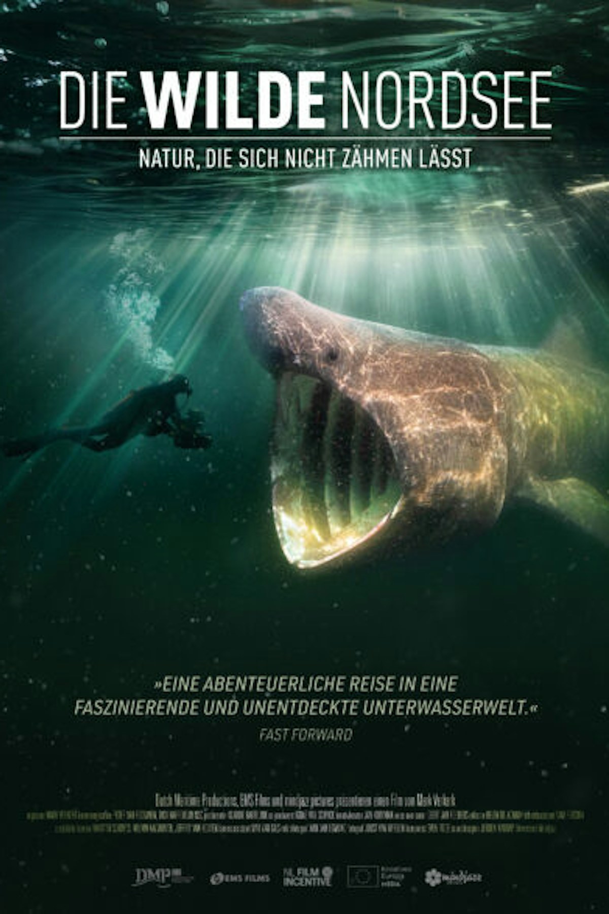 Die Wilde Nordsee – Natur, die sich nicht zähmen lässt